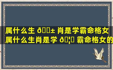 属什么生 🐱 肖是学霸命格女「属什么生肖是学 🦆 霸命格女的」